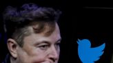 Elon Musk says he'll be 'digging' into shadowbans on his first day at Twitter as conservatives urge him to overturn their previous punishments