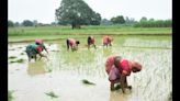PM Kisan Samman Nidhi: Over ₹109 cr disbursed among 5.49 lakh farmers in Prayagraj