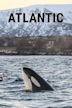 Atlantic: The Wildest Ocean on Earth