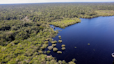 Criação do Museu das Amazônias é lançada em Belém | TNOnline