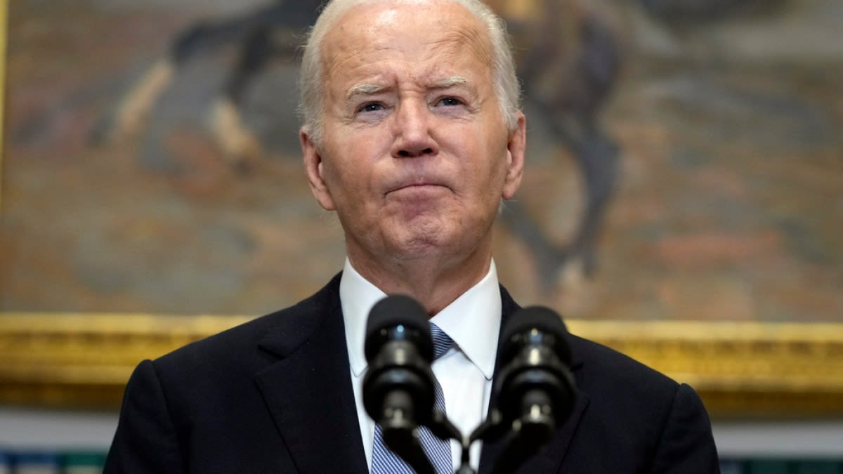 Joe Biden too old to be US president? Not for Malaysians