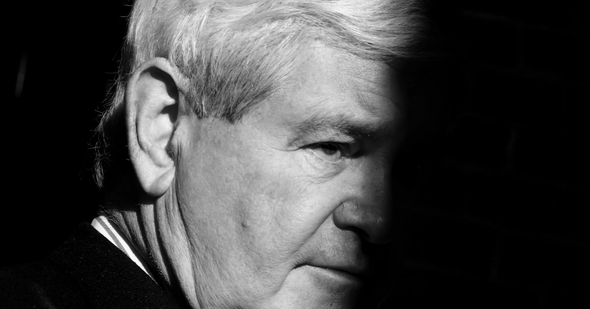 Newt Gingrich perfectly describes how everything is his fault