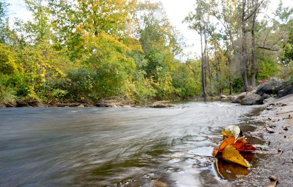 Renewal of parks and recreation millage on Washtenaw County ballot in August election