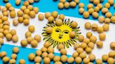 Argentina simplifica trámites para exportaciones agroindustriales y se adapta a normas europeas