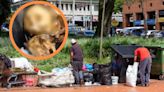 Video: hallan restos humanos en una caneca de basura en Medellín, los huesos estaban barnizados y numerados