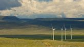 Wind energy boom and golden eagles collide in the US West