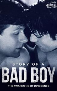 The Story of a Bad Boy