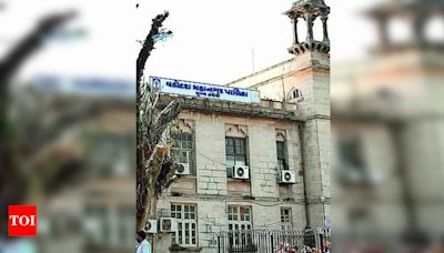 VMC audit reveals billing errors worth 1.5 crore | Vadodara News - Times of India