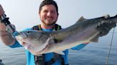 Fishing for stripers? Bite hasn't been this good in years, says one local angler