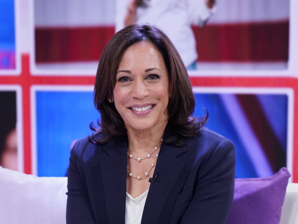 Kamala Harris’s Stepdaughter Defends Her Against ‘Childless Cat Lady’ Attacks & It’s a Huge Win for Blended Families