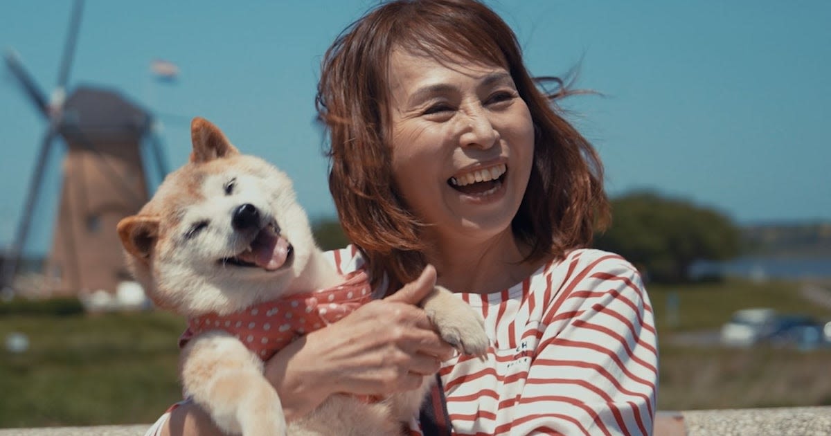 Yes, there's going to be a DOGE movie
