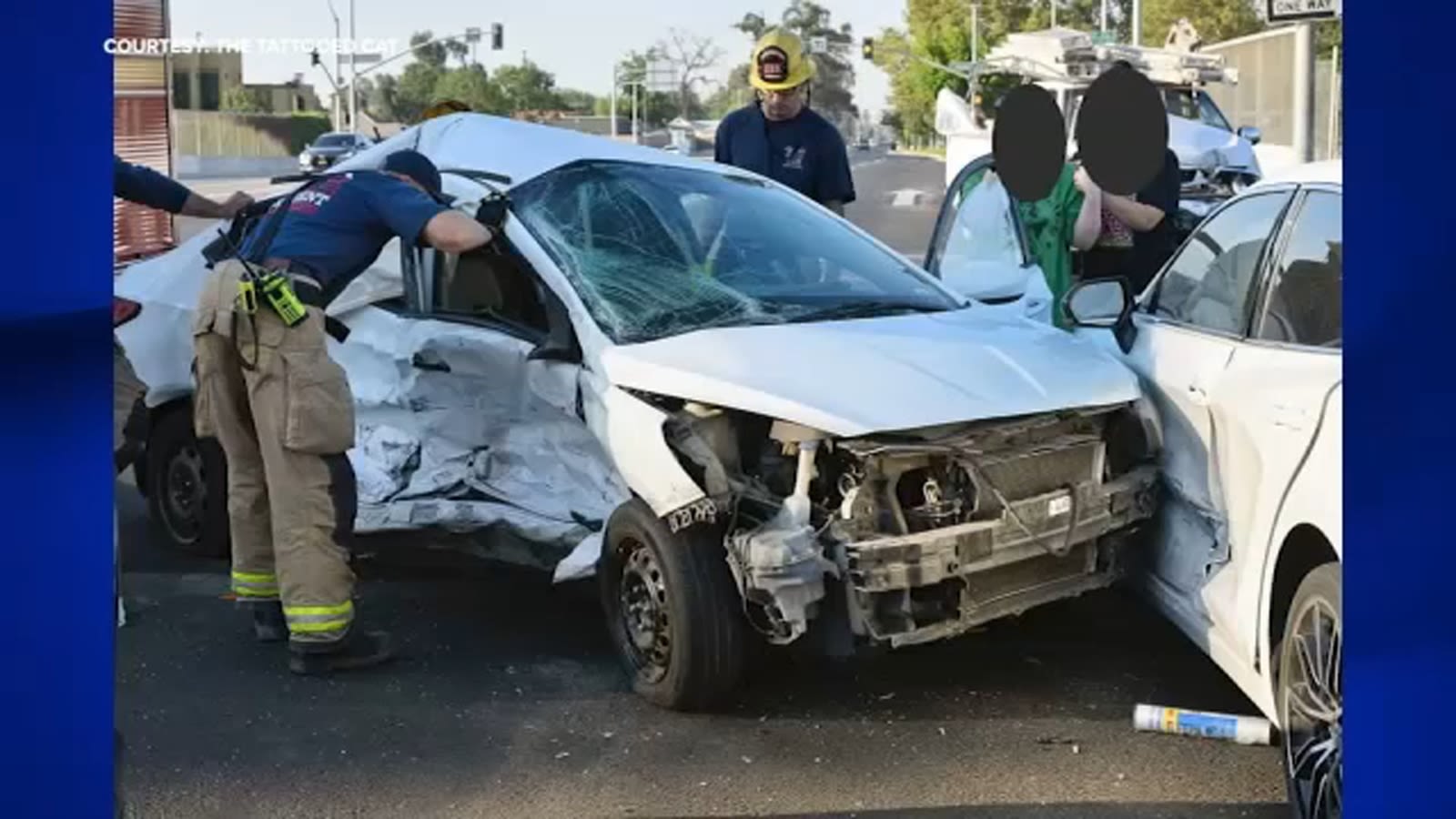 Visalia animal rescue service asks for community's help after cats are injured in car accident