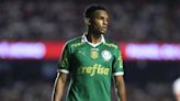 Preview: Palmeiras vs. Vitoria - prediction, team news