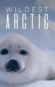 Wildest Arctic