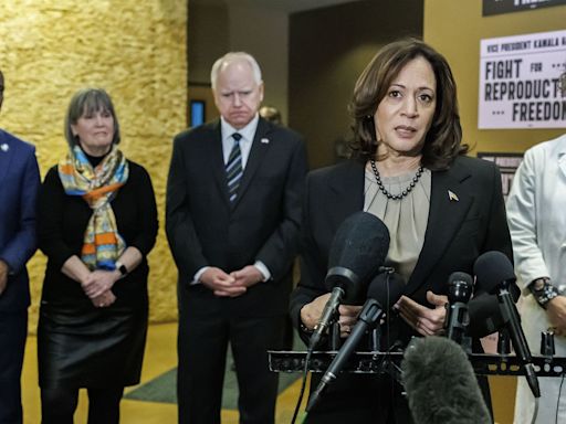 Critical DMs: The brat and the brät, or the semiotics of Kamala Harris and Tim Walz