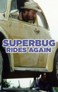 Superbug: The Wild One