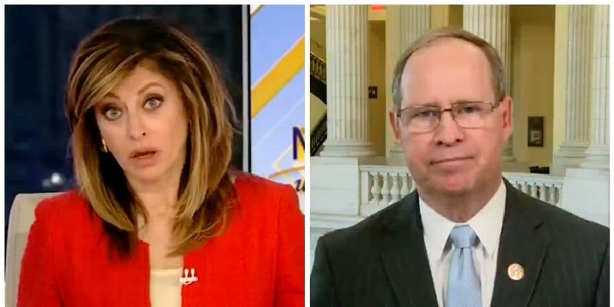'Show me what?' Maria Bartiromo taken aback by Republican claiming proof of Biden drug use