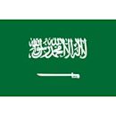 Saudi Arabia national football team