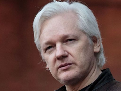 Quién es la mujer que acusó a Julian Assange de abuso sexual (y que ahora se “alegra” de que esté libre) - La Tercera