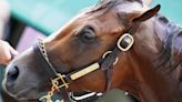 Seize the Grey wins Preakness Stakes, denying Mystik Dan a shot at the Triple Crown