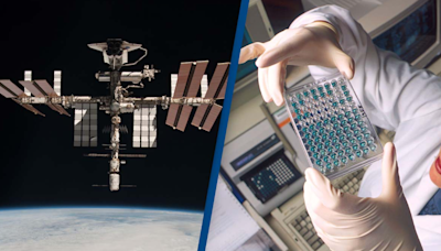 Bacteria has mutated on the International Space Station into something never seen before on Earth