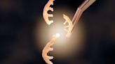 New CRISPR Approach Enables “Seamless” Gene Insertions