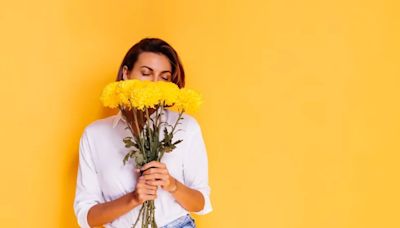 Regalar flores amarillas el 21 de septiembre: ¿Cuál es su origen y significado?