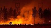 College Professor Turned Arsonist Now A Prisoner After Igniting 7 Wildfires | Daily Tidings