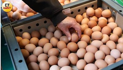 蛋價今再降3元！產地價每斤32.5元、批發價42元 創2年新低