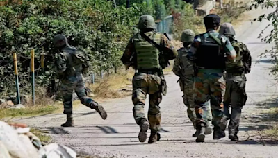 Kupwara Encounter: Two Terrorists Killed By Security Forces In Jammu And Kashmir's Keran Sector