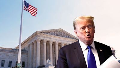 "I've never seen that": Legal scholars say Trump has opening to turn to Supreme Court for help