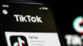 Senate approves measure to ban TikTok from government devices