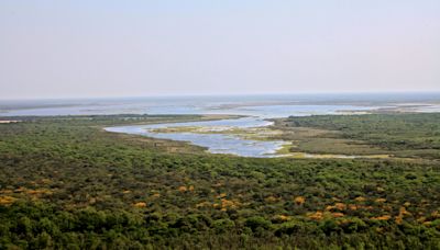 Ambientalistas de Argentina presentan una megadenuncia penal por deforestación en el Chaco