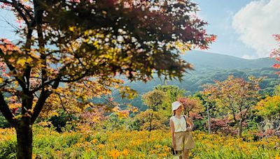 秋遊陽明山竹子湖「田間美術館」， 奇景、美食、藝術和單車來療癒身心