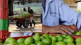 Una bolsa de limones en 300.000, la sorpresa que recibió un adulto mayor en Bogotá