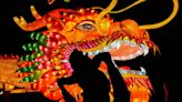 Under the baobab: Celebrating Lunar New Year and welcoming the Year of the dragon