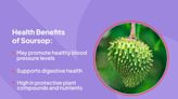 Health Benefits of Soursop (Guanabana)