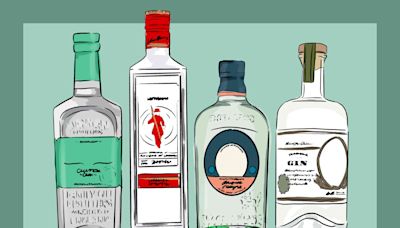 Understanding the 4 Main Types of Gin, According to Experts