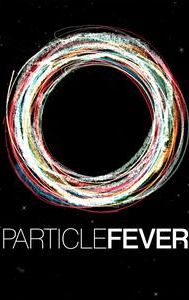 Particle Fever