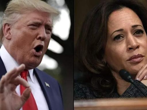 Kamala Harris freshens up her message on the economy as Donald Trump and Republicans go after her on inflation - The Economic Times