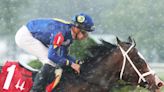 Zozos To Defend His Title In Sunday's Hanshin Stakes