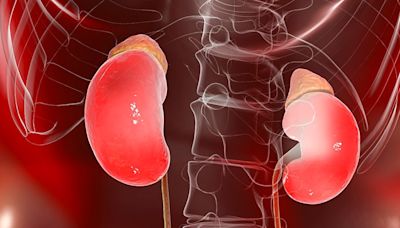 Higher RA Disease Activity May Accelerate Renal Impairment