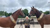 Taggart takes top prize at Enniskillen Horse and Pony Show