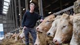 Hard right makes hay with European farmers' anger ahead of June elections
