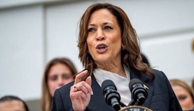 Watch: 'Hell, she's impressive': Harris praised for dynamic Wisconsin speech