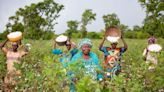 Better Cotton to Scale Sustainable Cotton Production in Africa