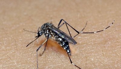 Jovem de 18 anos é a sétima vítima da dengue neste ano em Bauru