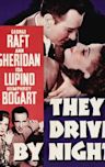 They Drive by Night (1938 film)