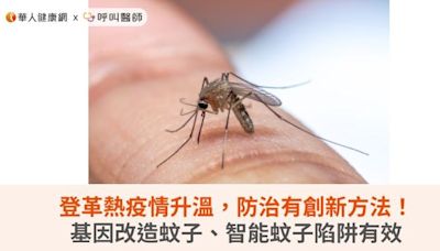 登革熱疫情升溫，防治有創新方法！基因改造蚊子、智能蚊子陷阱有效 | 華人健康網 - 專業即時優質的健康新聞及資訊分享平台業即時優質的健康新聞及資訊分享平台