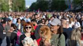 Protesters back on the streets of Belgrade as president ignores calls to stand down